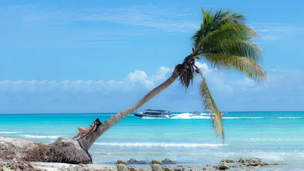 Palmera inclinada en la ISla Saona con una chica acostada