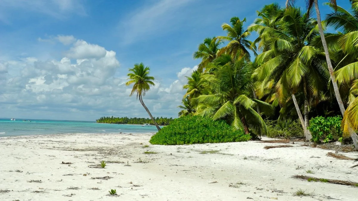 Playa desolada en Isla Saona