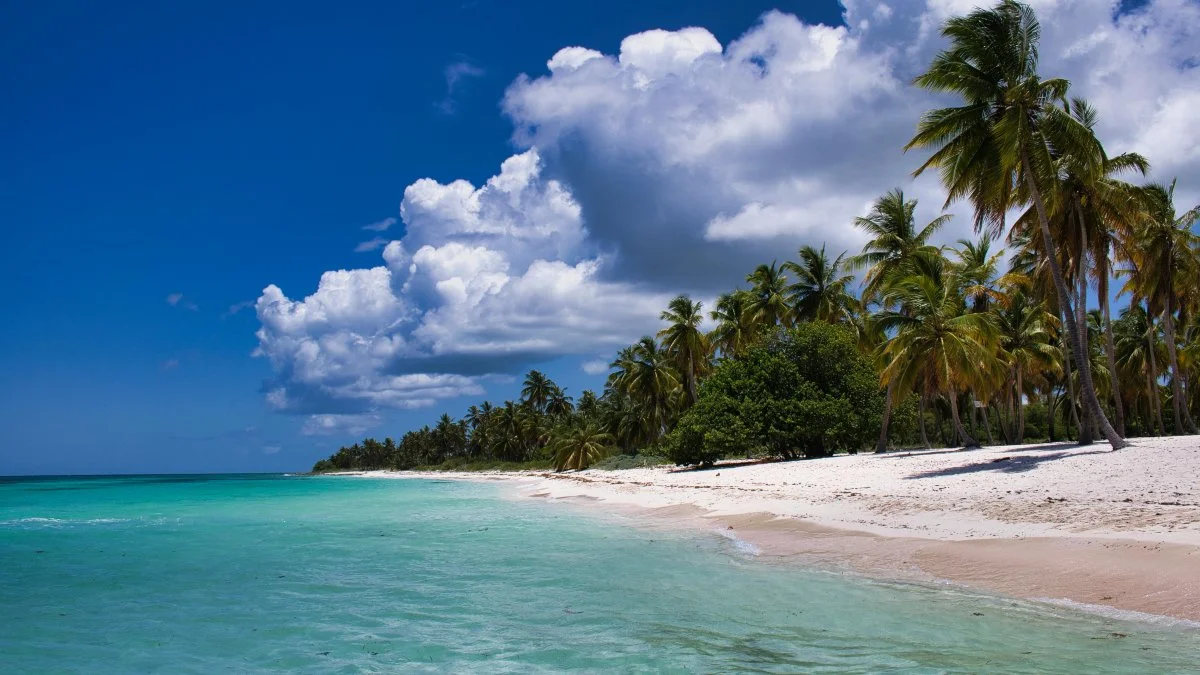 Agua turquesa y palmeras de fondo en Isla Saona